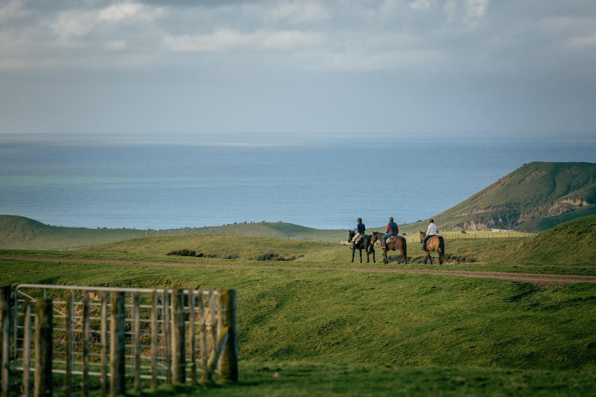 Villa Rosewood Cape Kidnappers Te Awanga Exterior foto